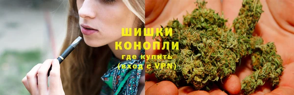 шишки Михайловск