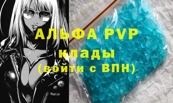 шишки Михайловск
